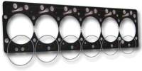 Engine & Performance - Engine - Gaskets & Seals